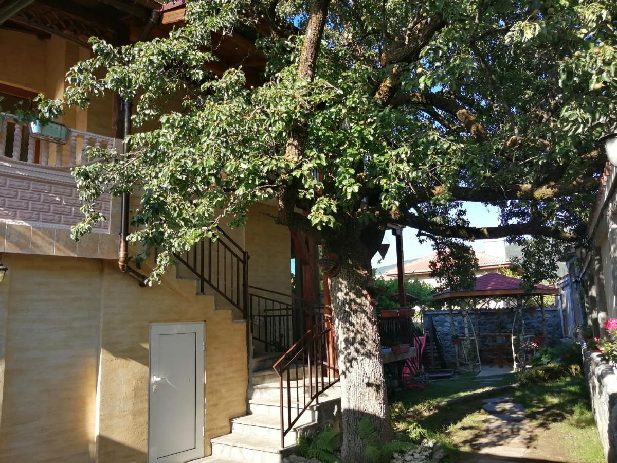 Dariya Guest House Sapareva Banya Luaran gambar